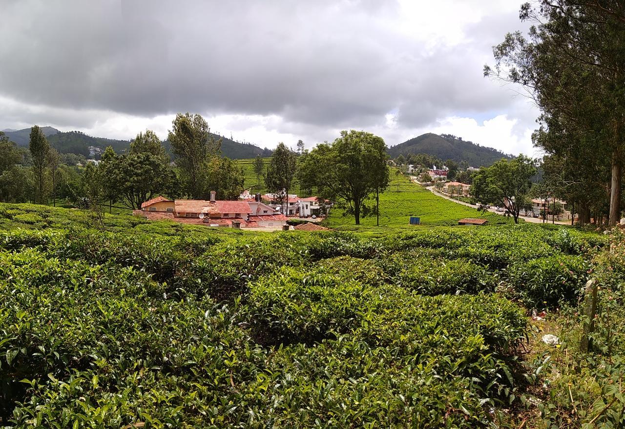 Myspace Holiday Inn Ooty Kültér fotó